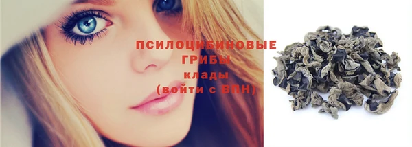 ПСИЛОЦИБИНОВЫЕ ГРИБЫ Зеленокумск