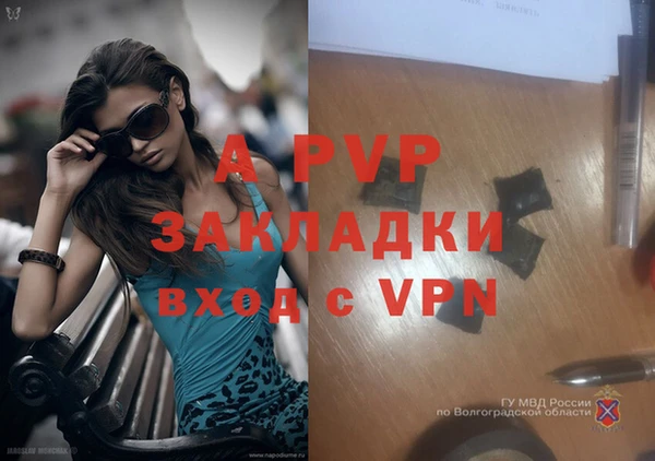 ПСИЛОЦИБИНОВЫЕ ГРИБЫ Зеленокумск