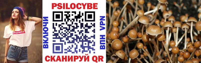 Галлюциногенные грибы Magic Shrooms  Купить закладки  Нолинск 